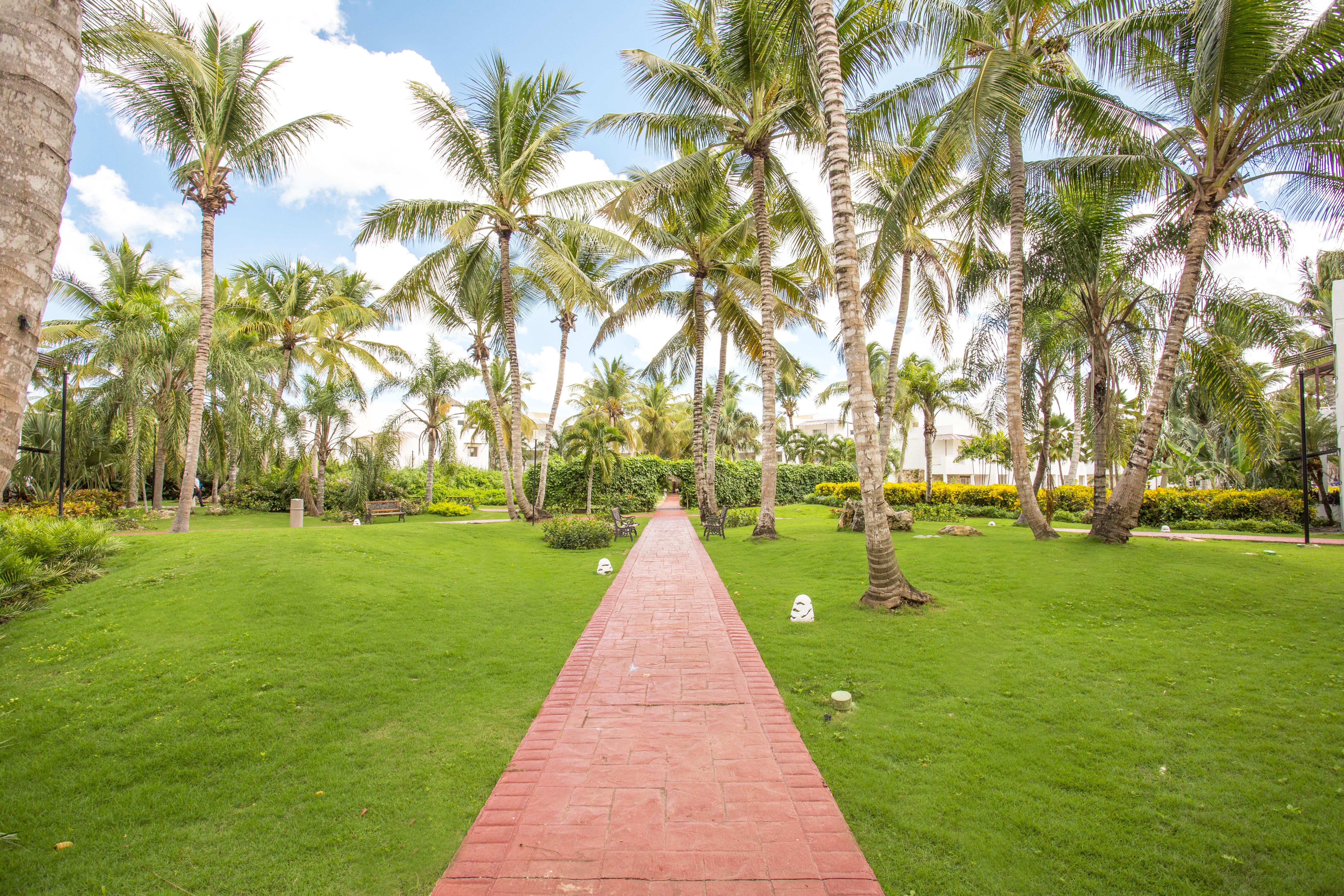 Be Live Collection Canoa Bayahibe Exteriér fotografie The Palm Grove