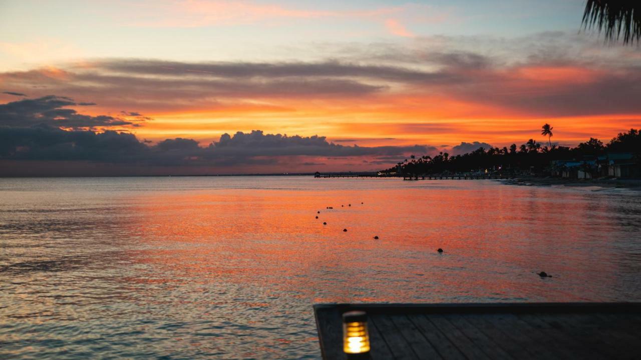 Be Live Collection Canoa Bayahibe Exteriér fotografie Sunset at the Port of San Diego
